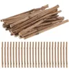 Sticks Wood Crafts Logwood Woodwood Craft Supplies Birch Boxwood Picta