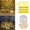 Glass Flower Cover Cloche Bell Jar Dome Wooden Base DIY Everlasting Flower Glass Cover Desktop Ornaments Vases Container Holder