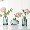 Vaser Small Transparent Glass Vase Table Hydroponic Flower Arrangement Heminredning Dekoration Hantverk Dekorativ