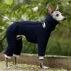 Köpek giyim yün giyim kış uzun boyunlu yaka alaska kızak sıcak yüksek dört ayaklı ceket