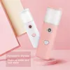 30 ml Portabel USB Luftfuktare USB -laddningsbar handhållen vatten Nano Sprayer Essential Milk Oil Diffuser Face Care Steamed Meter