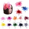 Hair Clips Mesh Fascinator Hat Flower Feather Ribbon Pearl Wedding Cocktail Headwear 40GB