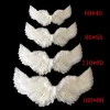 Angel Wings Feathers White Flying Swollo