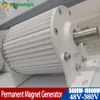 Permanente magneetgenerator en turbine lage snelheid 5 kW 6 kW 8 kW 10 kW 96V 110V 120V 220V 230V 380V Water Conservancy en windenergie