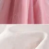 Девушка платья Девушкам Формальное платье весеннее детская одежда с длинными рукавами пушистая юбка маленькая хозяйка взлетно -посадочной полосы шоу принцесса