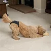 犬用の犬用アパレルおむつ