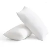 Pillow Throw Inserts 30x50cm 45x45cm 50x50cm Inner Soft Fluffy Plump Stuffer Pads White Decorative Insert