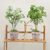 Decorative Flowers Bonsai Simulation Plants Artificial Plant Fake Home-Decoration Wedding Office Staff