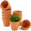 32 PCS 2.2 Terra Cotta Pots Pottery Ekici Kaktus Saksı Drenaj Deliği ile Etli Tencere- Plantscrafts için harika 240329