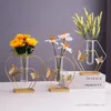Vaso di vetro creativo nordico, disposizione dei fiori coltivati in acqua, soggiorno, camera da pranzo Studia da pranzo decorazione superiore, ferro, 1pc
