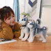 2530 cm Symulacja Husky Dog Plush Wolf Wolf Soft Pchane Zwierzę Cute Plush Kawaii Children Doll Puszysty urodzinowy prezent dziecięcy chłopiec 240411