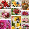 Pfingstrose Blumenlandschaft gedrucktes Stoff Cross-Stitch Kit DIY Stickerei nähen Hobby-Nadelhandwerk Handiwork Großhandel Geschenk für Erwachsene