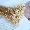 DIY Resin Candle Accessories Min Dried Flower Bouquet Crafts Small Flowers Baby Shower Party Supplies Valentine's Day Decoration