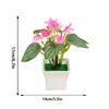 Dekorative Blumen künstlicher Anthurium Bonsai Plastik Palmgrüne Pflanzen Simulationspflanze für Heimtisch Gartenparty Dekor Ornament