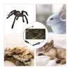 USB Reptile chauffage tampon terrarium chauffage de chauffage électrique couverture thermique chaude tampon de tapis chauffant