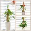 Plant Climbing Frame Coconut Shell Moss Palm Cane Gardening Coconut Rod Stretch Plant Climbing Pole Indoor Plant Creeper 1 Piece