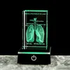 Crystal 3D laser gegraveerd menselijk anatomisch longkubus model standbeeld papiergewicht ademhalingsmedische souvenir wetenschapsgeschenken