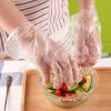 100pcs gants en plastique alimentaires jetables accessoires de cuisine ou restaurant gants de légumes de fruits écologiques pour les fruits de la beauté