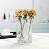 Vase Nordic Minimalist Glass Vase Creative Creative Home Decor Ins Style Hydroponic Flower Bottleスタイリッシュな美しい