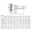 M2 M3 M4 M5 M6 M8 M10 Edelstahl Stahl Knurl hoher Stiefkopf Hand Hand Ziehen Sie Daumenschraube Vorhang