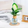 Vases 2pcs Imitation Verre Hydroponic Transparent Vase Vase Vase Color Flower Pot Vert Plant Small Decoration