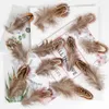 100PCS Pheasant Rooster Turkey Feathers 3-8Cm DIY Crafts Wedding Carnival Jewelry Dream Catcher Accessories Chicken Plumas Decor