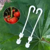 20pcs Plastikfruchtunterstützung Haken, Tomaten Gemüse J-Hook Tomaten-Fachhaken zum Stützen von Pflanzen und Gemüsezubehör