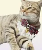 Cat -kragen leidt Pet Dog Harness Lease 2 Sets Bow Lace Collar Flower Walking Rope Chain voor Small Medium Suit 3672212