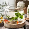 Wooden Transparent Glass Vases Creative Hydroponic Terrarium Plant Flower Pot Home Office Desktop Ecological Fish Tank Decorate