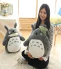 Totoro плюшевая игрушка милая плюшевая кошка японская фигура аниме -фигура куколка плюшевые тоторо с лотосовыми детскими игрушками день рождения рождественский подарок 201204268835986