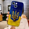 Ukrayna bayrağı telefon kasası için Apple iPhone 12 Pro 13 Mini 11 14 MAX XR X XS 6 6S 7 8 Plus Şok geçirmez arka kapak