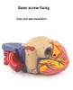 1: 1 Modello di cuore umano Struttura cardiaca Modello di insegnamento Anatomia Medical Modello di educazione scientifica del medico di cardiologia