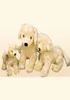 Simulation Animal Golden Retriever Plush toy Cute Doll Puppies Birthday Gift Car Soft Decoration 50cm DY509906484769