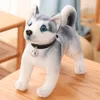 Simulazione da 2530 cm Dog Husky Peluga giocattolo peluche lupo morbido animale di peluche carino peluche kawaii bambola bambola soffice regalo di compleanno bambino ragazzo 240411