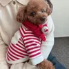 Abbigliamento per cani Winter Christmas Pet Clolthes carino Invia cani sciarpa felpa con cappuccio pullover santa claus per maglione medio -medio Yorkshire