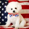 Dog Apparel American Independence Day Pet Bow Tie Red White And Blue Good Gift For Your