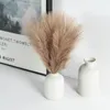 Fiori decorativi Pampas Grass Craft Bouquet Pianta artificiale per la layout del paesaggio da giardino domestico Accessorio per matrimoni natalizi arredamento