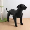 Hundkläder 1pc PVC Mannequin Standing Position Modeller Petshop Display för klädkrage Pet Toys Model