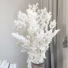 自由ho放な結婚式のブーケドライフラワー白い保存された天然花柄の自由ho放なヤシの葉の結婚式のアーチ装飾ホームパーティーフラワーアレンジ