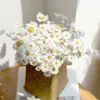 Bouquet de fleurs de marguerites séchées, vraie fleur blanche sèche, arrangements Gerber Daisies pour le mariage, décorations de ferme, décoration intérieure de bricolage