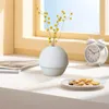 Vazen keramische bloem vaas boho -stijl wit klein huisdecor mode pampas gras voor schaptafel