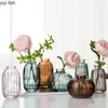 Vaser Small Transparent Glass Vase Table Hydroponic Flower Arrangement Heminredning Dekoration Hantverk Dekorativ