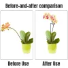 5/10pcs 40cm de support de plante Stakes, jardin pages à tige unique AMARYLLIS CAGE SINGS POUR TOMATOES ORCHID LILY PEONON ROSE FLORRE