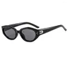 Occhiali da sole 2024 Eye gatto vintage Donne piccole telai da sole ovali occhiali stretti per uomo design