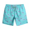 Heren shorts 2024 Zwem snel droog strandbord met mesh voering 7 inch binnenlandse badpakken heren zwembroek