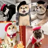 Vêtements pour chien animaux de compagnie accessoires de toilettage habillement capeur mignon béret mini casseur de chat décoratif chiot peintre en feutre