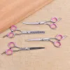 Ciseaux de toilettage professionnels pour chiens chats Conseils de sécurité Rounds Curved Blade Scissor Sharp Hairdressing Pet Cough Scissors