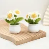 Fiori decorativi 1pc Little White Daisy Wool Simulazione Flower Pot Decoration