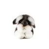 Poux en peluche bébé schnauzer chien en peluche en peluche jouet mignon chien en peluche