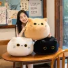 Chat noir peluche jouet en peluche chaton